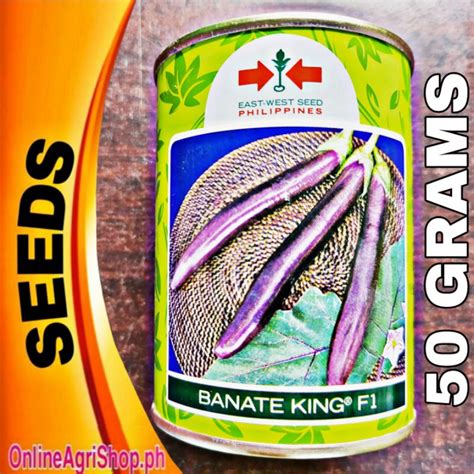 BANATE KING F1 HYBRID EGGPLANT SEEDS (50 GRAMS) .
